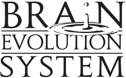 Brain Evolution System