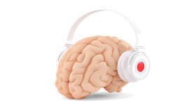 How Does Music Affect the Brain? 16 Key Benefits of Listening to Music how does music affect the brain
