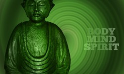 The Scientific Benefits of Meditation And How To Experience Them scientific benefits of meditation