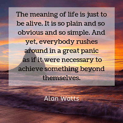 Alan Watts sayings