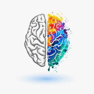 improve brain power