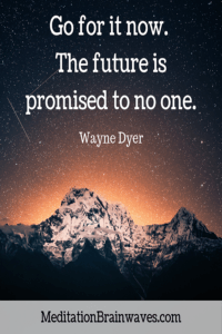 Wayne Dyer Go for it now the future is promised to no one