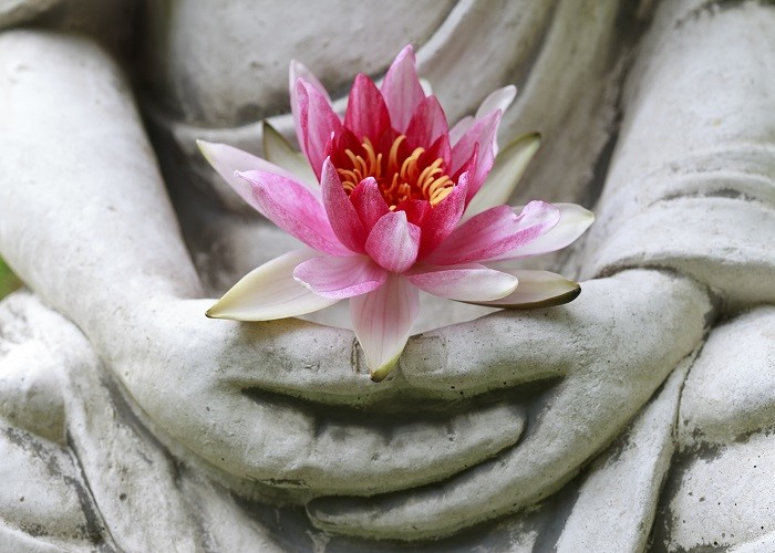 meditation music buddha flower