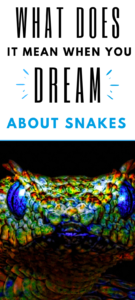 snakes dreams meaning