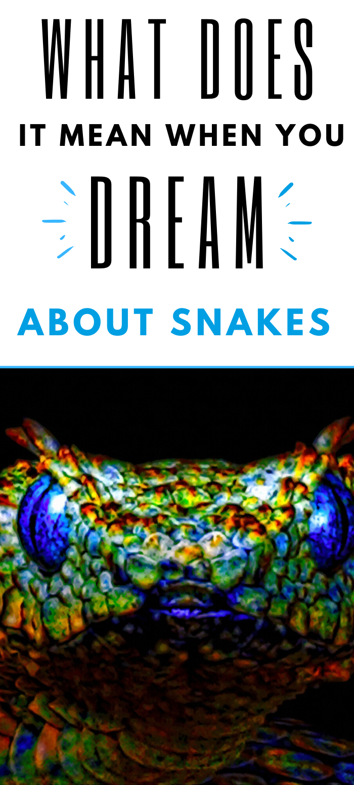 lots of snake in dream meaning