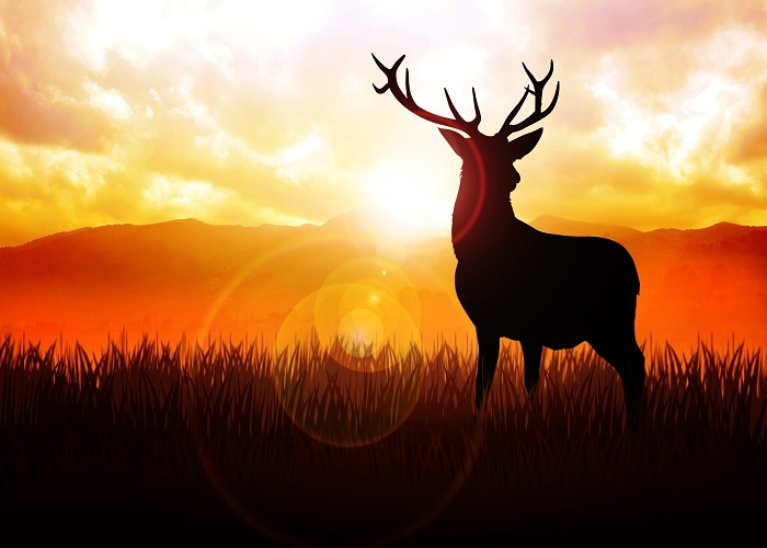 biblical-meaning-of-deer-in-dreams-biblical-interpretation-of-dreams