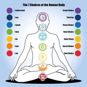 chakras of the human body