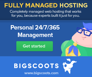 bigscoots hosting company