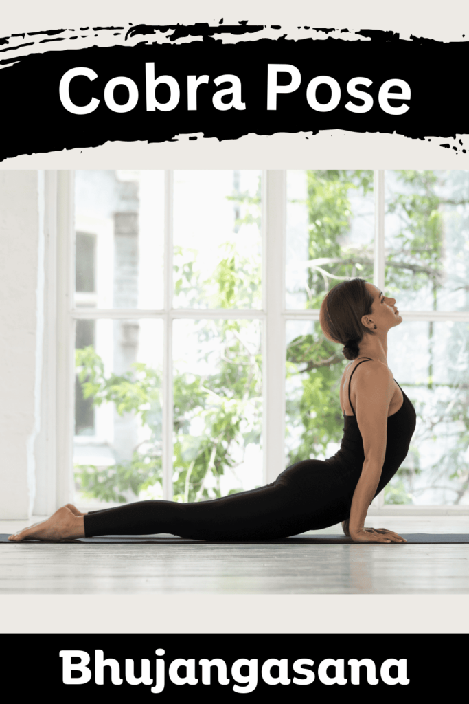 basic yoga poses for beginners Cobra Pose (Bhujangasana)