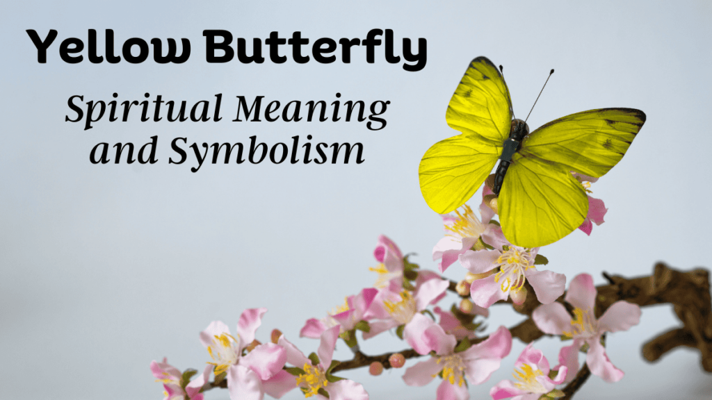 yellow butterfly meaning and symbolism