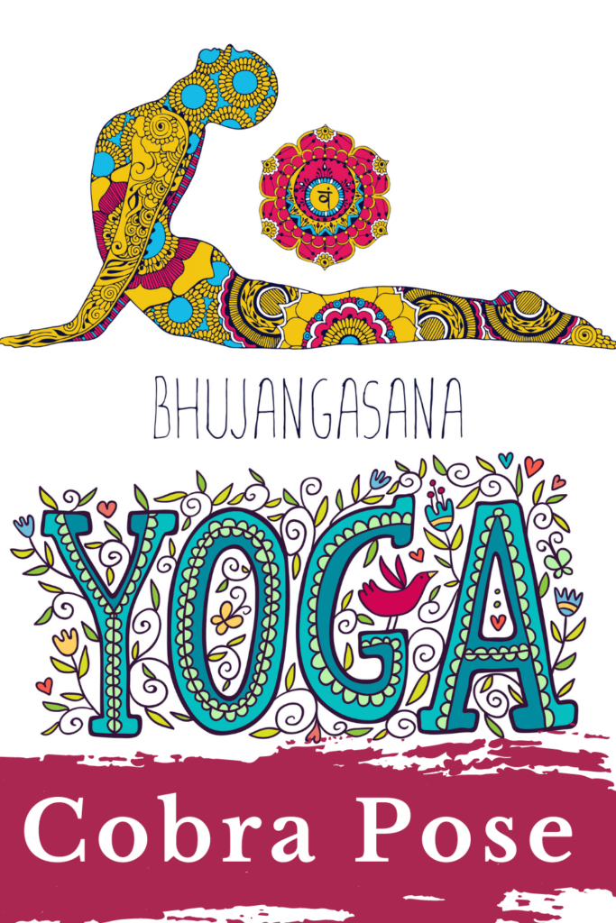 Cobra pose bhujangasana yoga poses for beginners