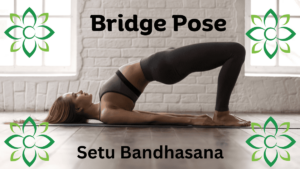 yoga poses for beginners bridge pose Setu Bandhasana