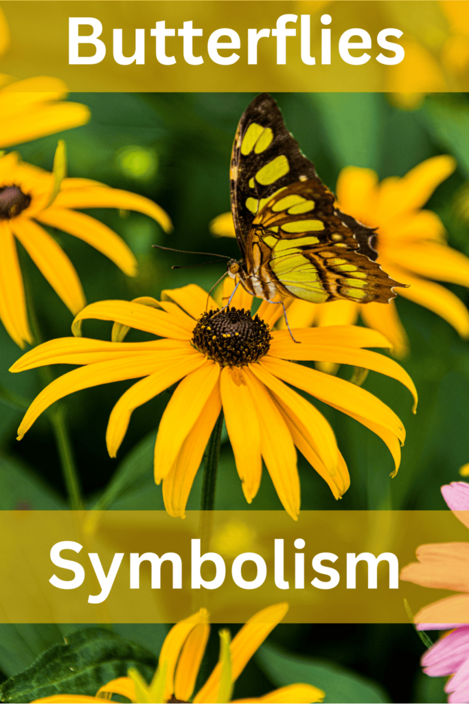 black and yellow butterfly symbolism 