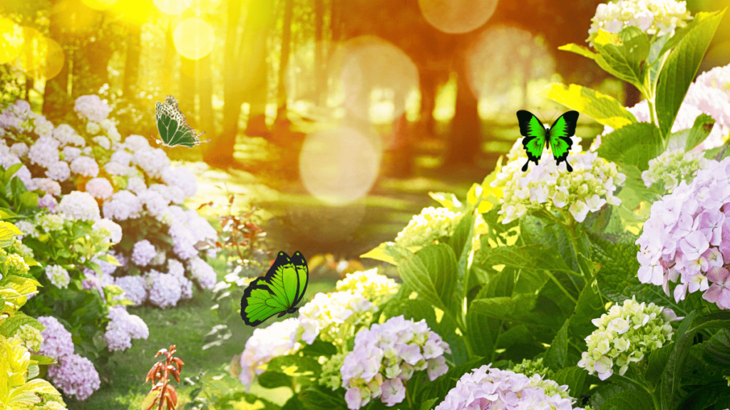 light green butterfly meaning 