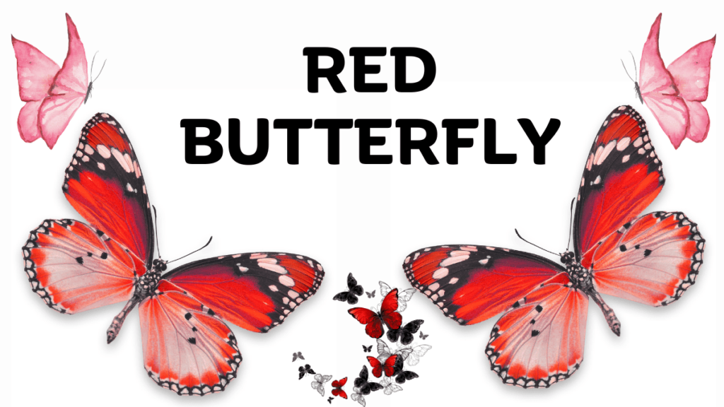 red butterfly spiritual meaning and symbolism 