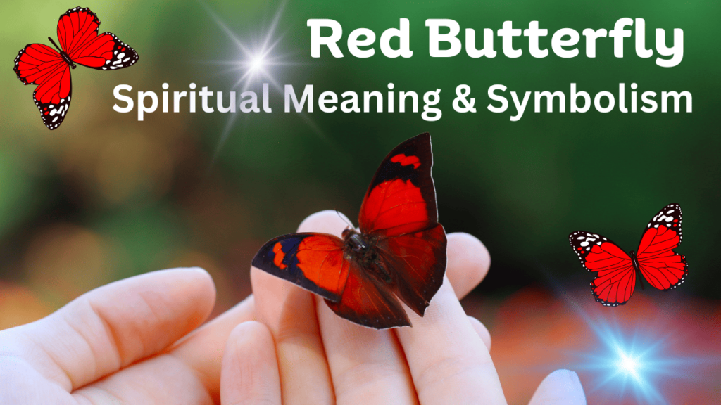 red butterfly spiritual meaning and symbolism