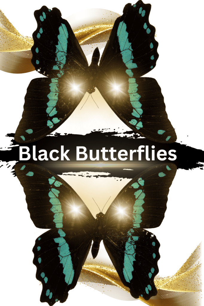 Black Butterfly Meaning [What Does It Mean When You See It]