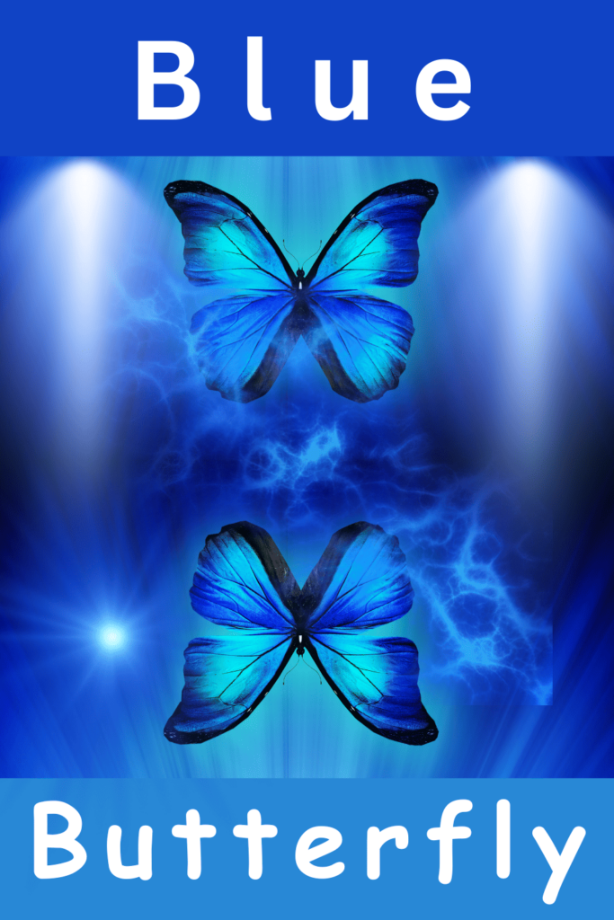 blue butterfly meaning symbolism