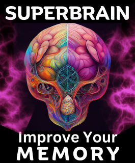 superbrain by jim kwik and mindvalley. improve memory in 30 days 